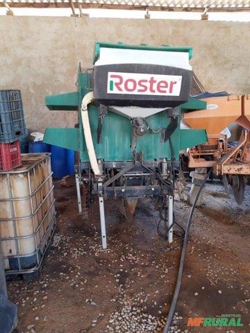 Plantadeira de eucalipto e árvores no tubete Imagem Plantadeira de eucalipto e árvores no tubete