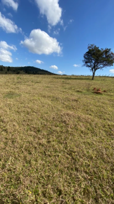 Arrendo 300 hectares de terras em Bragança Paulista