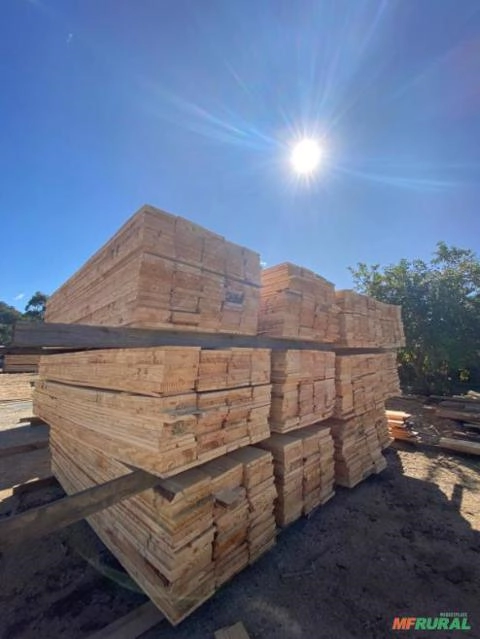 Imagem Madeiras de pinus serrada, barrotes e tabuas. Imagem Madeiras de pinus serrada, barrotes e tabuas.
