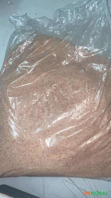 Sal Himalaia Imagem Sal Himalaia