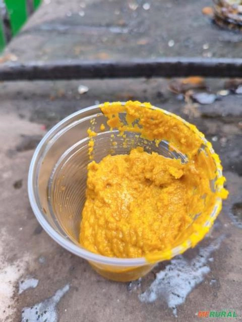 Compro Borra de Soja Imagem Compro Borra de Soja