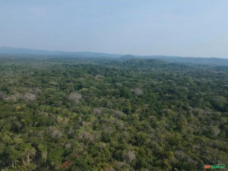 Fazenda Oportunidade Área Barata