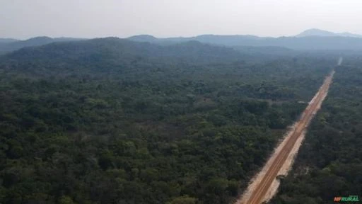 Fazenda Oportunidade Área Barata