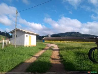 Chácara Rural no Paraná