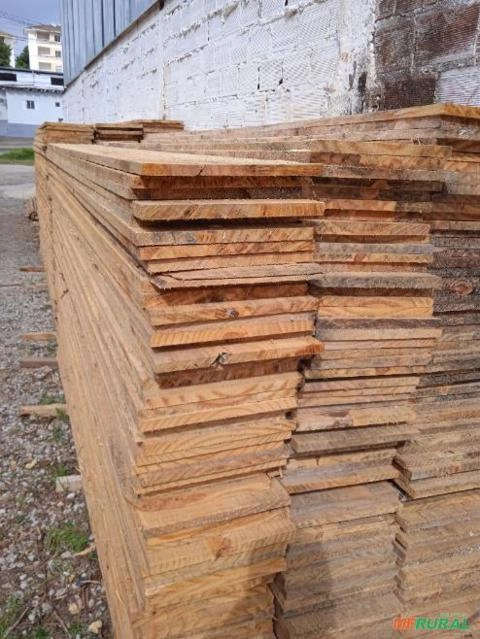 Tábua de Pinus Imagem Tábua de Pinus