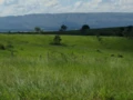 Venda de propriedade Rural em Cidade turística no interior de Minas Gerais com queijaria artesanal