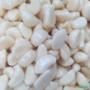 Alho descascado Imagem Alho descascado