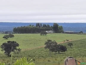 Fazenda Região de Novo São Joaquim MT