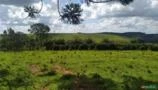 Fazenda em Cambuí, MG  0035