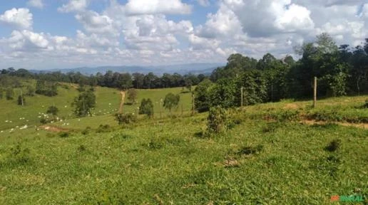 Fazenda em Cambuí, MG  0035