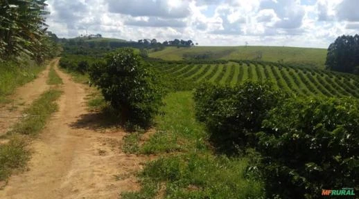 Fazenda em Cambuí, MG  0035