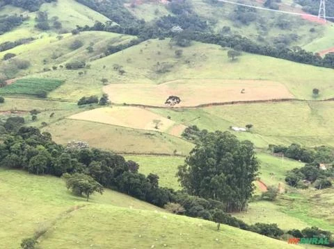 Fazenda Pouso Alegre, MG  0029