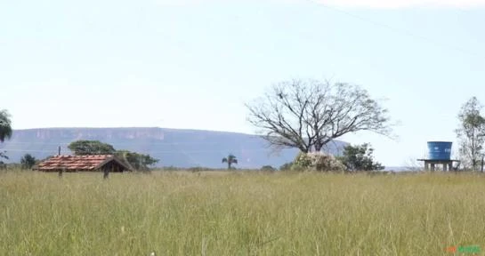 Fazenda Sitio Novo - Tocantins - Taguatinga - Pista de pouso - Asfalto - 186 Alqueires