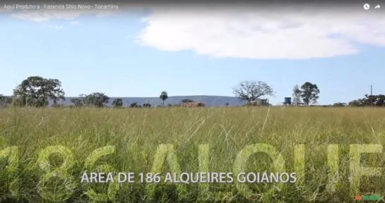 Fazenda Sitio Novo - Tocantins - Taguatinga - Pista de pouso - Asfalto - 186 Alqueires
