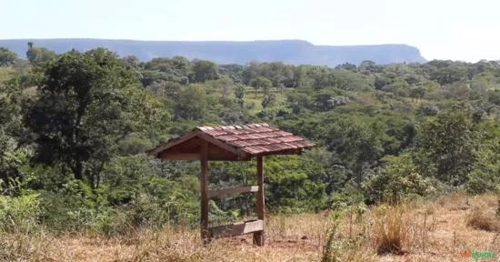 Fazenda Sitio Novo - Tocantins - Taguatinga - Pista de pouso - Asfalto - 186 Alqueires