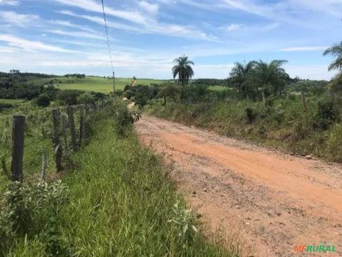 Fazenda São João à venda no município de Espírito Santo do Pinhal