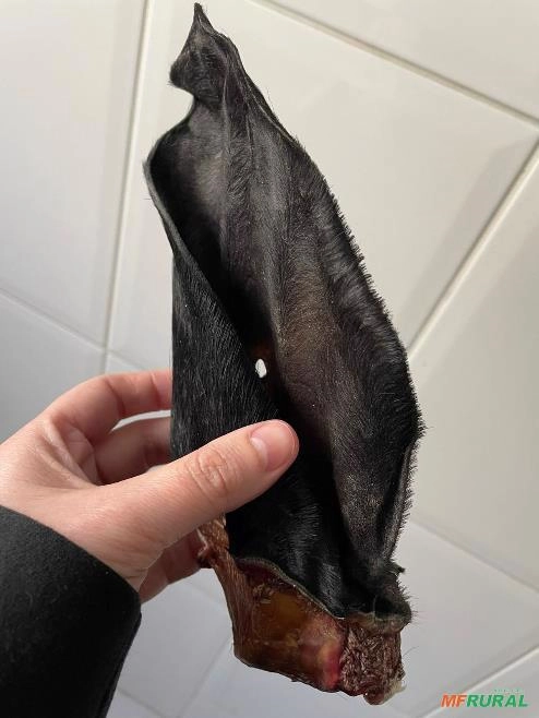 Compro subprodutos bovinos e suínos Imagem Compro subprodutos bovinos e suínos