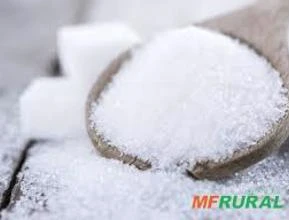 Procurando um fornecedor sério para exportar açúcar fino ICUMSA 45