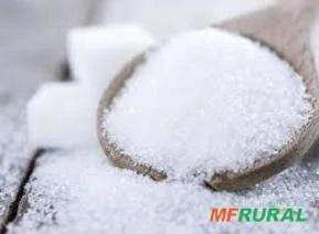 Procurando um fornecedor sério para exportar açúcar fino ICUMSA 45