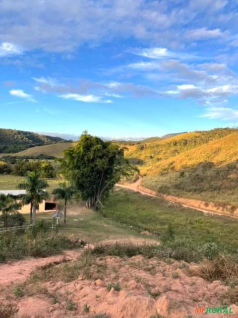 Vendo sítio com casa - Bom Jardim de Minas, MG