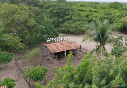 FAZENDA NO SIUPÊ TAIBA