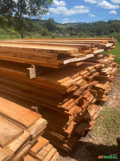 Tábuas de eucalipto Imagem Tábuas de eucalipto