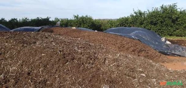 Adubo Orgânico Esterco de Galinhas/Cama de Frango Imagem Adubo Orgânico Esterco de Galinhas/Cama de Frango