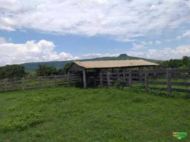 Fazenda a 90 km de Rondonópolis