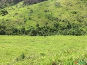 Fazenda no Periquito/MG