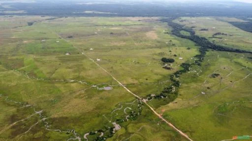 FAZENDA DE DUPLA APTIDÃO EM VISEU-PA A 200 KM DE BELÉM (BR-316) TODA DOCUMENTADA