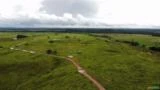 FAZENDA DE DUPLA APTIDÃO EM VISEU-PA A 200 KM DE BELÉM (BR-316) TODA DOCUMENTADA