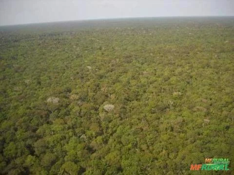 Imóvel rural em novo Aripuanã para agricultura e pecuária