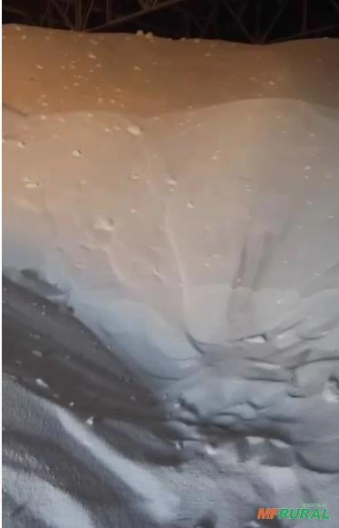 Ureia na no proto Salvador e Santos $625 Imagem Ureia na no proto Salvador e Santos $625