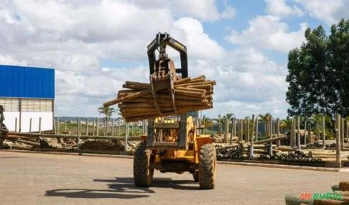 Imagem Mourão de Eucalipto Tratado Imagem Mourão de Eucalipto Tratado