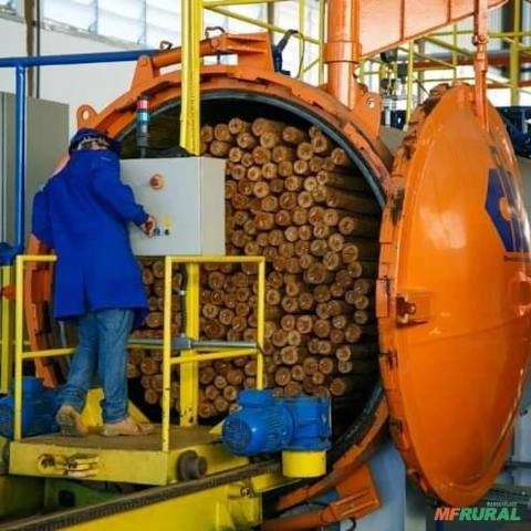 Imagem Mourão de Eucalipto Tratado Imagem Mourão de Eucalipto Tratado