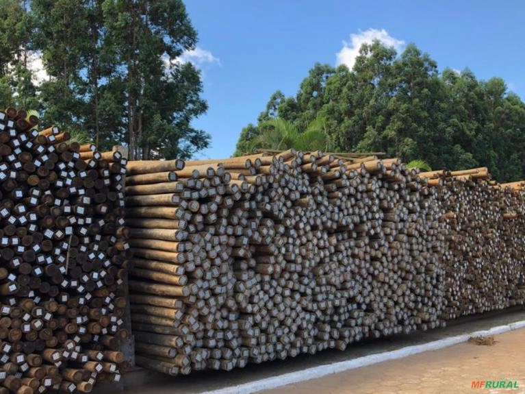 Mourão de Eucalipto Tratado Imagem Mourão de Eucalipto Tratado