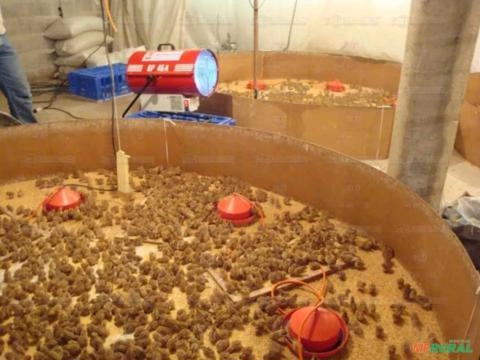 Imagem Aquecedor De Ambiente A Gás - Gp30 Imagem Aquecedor De Ambiente A Gás - Gp30