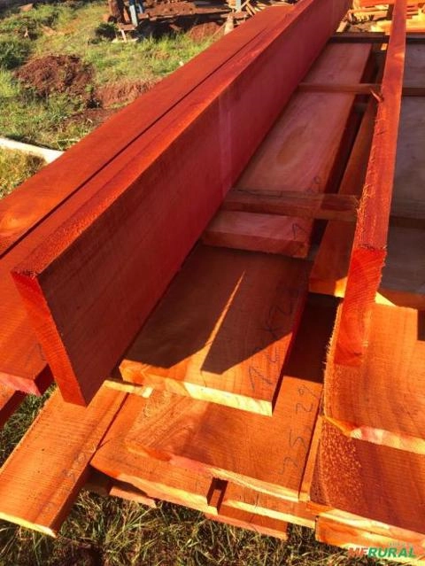 MADEIRA DE CEDRO AUSTRALIANO REFLORESTADO Imagem MADEIRA DE CEDRO AUSTRALIANO REFLORESTADO