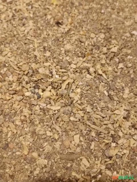 Soja para Adubação e produção Fertilizante Organomineral-Alto Nitrogênio(~5 a 6%) Imagem Soja para Adubação e produção Fertilizante Organomineral-Alto Nitrogênio(~5 a 6%)