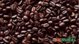 CAFÉ EXPORTAÇÃO - GRÃO VERDE, TORRADO OU MOÍDO 100% ARÁBICA