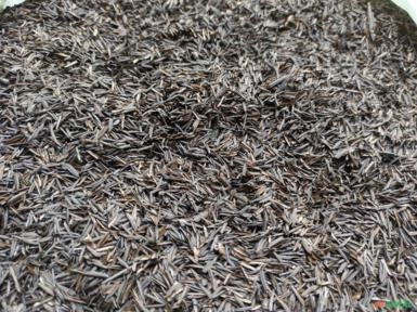 Casca de arroz carbonizada Imagem Casca de arroz carbonizada