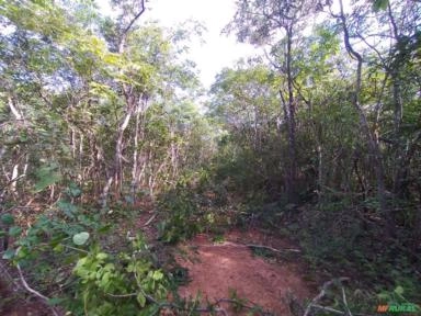 Imagem Mineração e Agro Negócio Buscando investidores e/ou parceiros Imagem Mineração e Agro Negócio Buscando investidores e/ou parceiros