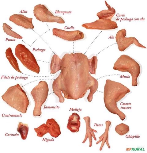 EXPORTAÇÃO - CORTES DE FRANGO Imagem EXPORTAÇÃO - CORTES DE FRANGO