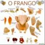 EXPORTAÇÃO - CORTES DE FRANGO Imagem EXPORTAÇÃO - CORTES DE FRANGO