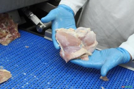 Imagem EXTRATORA DE PELE DE FRANGO E PERU Imagem EXTRATORA DE PELE DE FRANGO E PERU