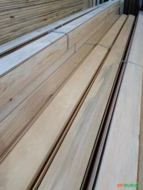 Forro Pinheiro Araucária Forro Pinheiro Araucária