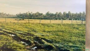 Fazenda no Pantanal