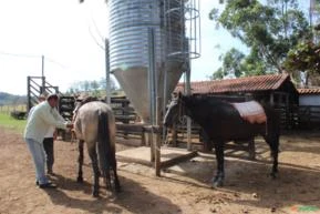 Fazenda rica em potássio