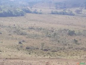 FAZENDA DE 421 HECTARES FORMADA