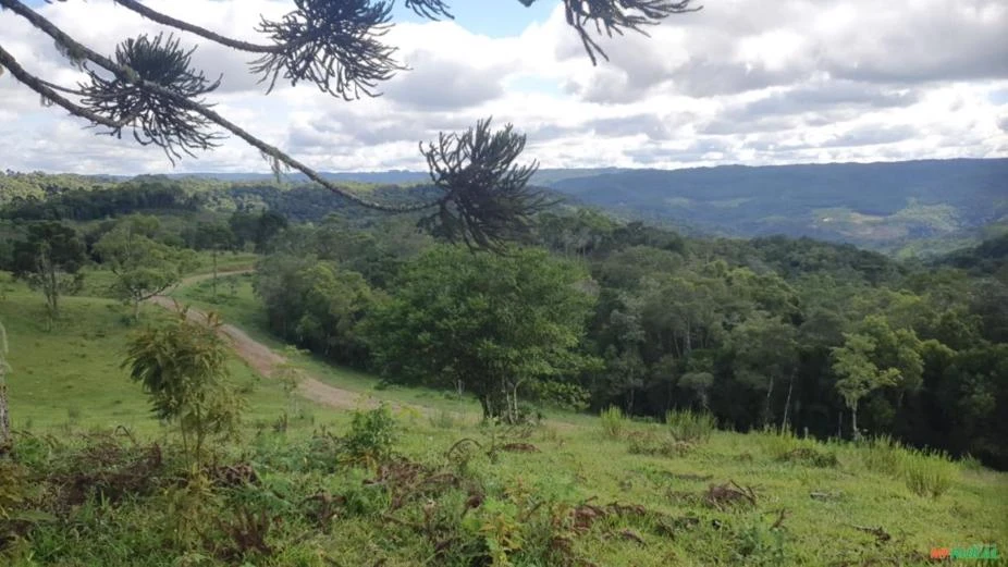 Fazenda 1.160 hectares em Doutor Pedrinho, SC